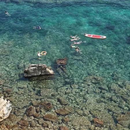 Casa Nido